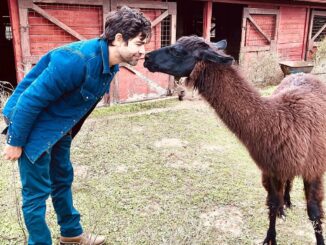 Adrian Grenier