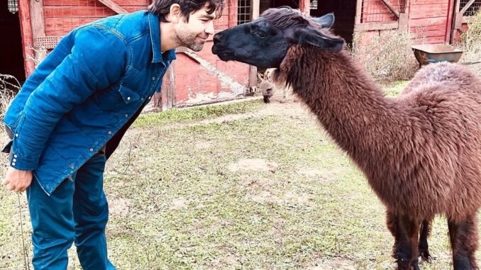 Adrian Grenier