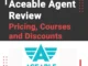 Aceable Agent