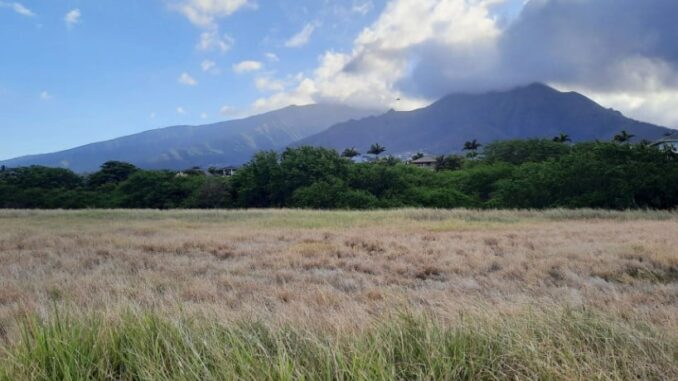 Maui County